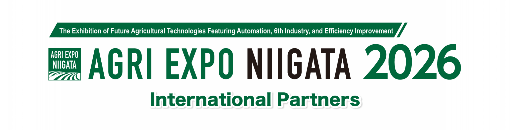 International Partners